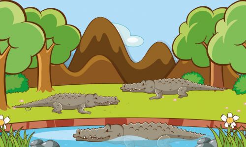 O jacarezinho egoísta