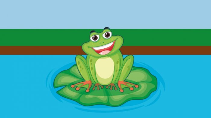 A grande boca do sapo