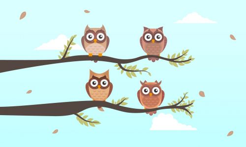 História: As dez corujinhas