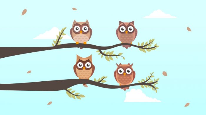 História: As dez corujinhas