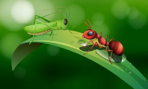 A formiga e o gafanhoto