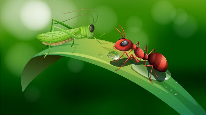 A formiga e o gafanhoto