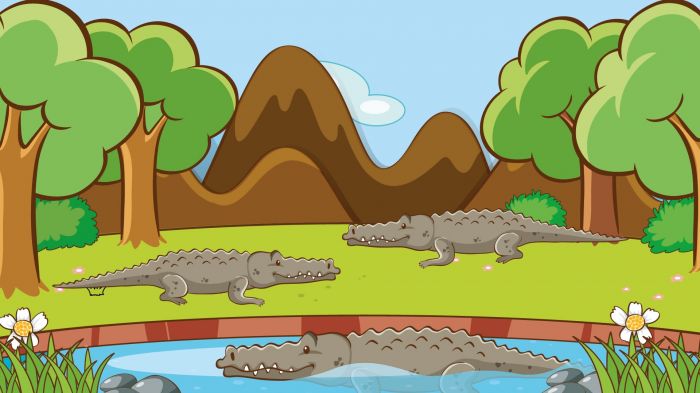 O jacarezinho egoísta